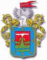 20080117124916-escudo.jpg