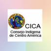 20090225024235-cica.jpg