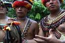 20090528044108-ama.jpg